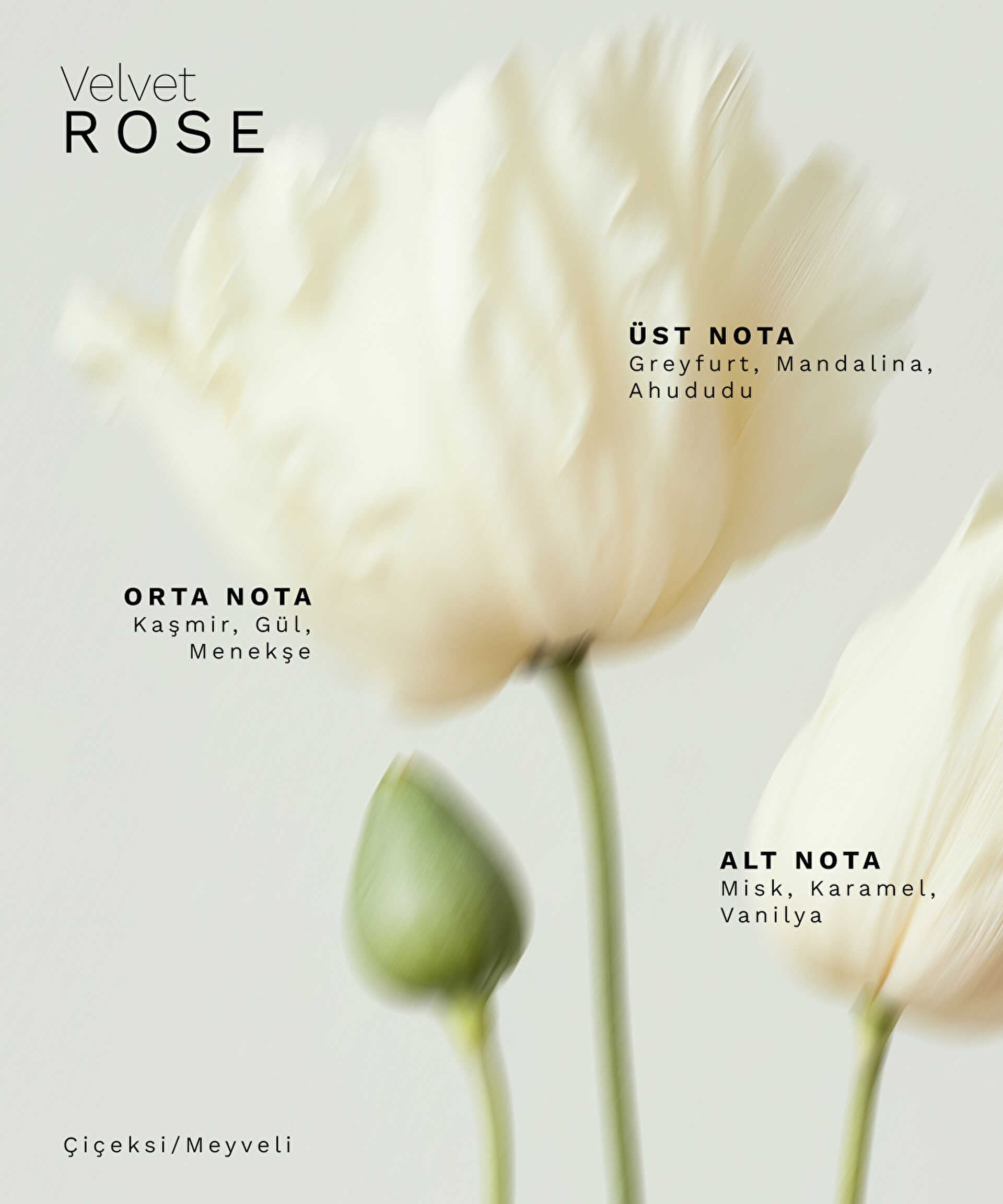 İpekyol Renksiz VELVET ROSE Eau de Parfum 100 ml görsel 2