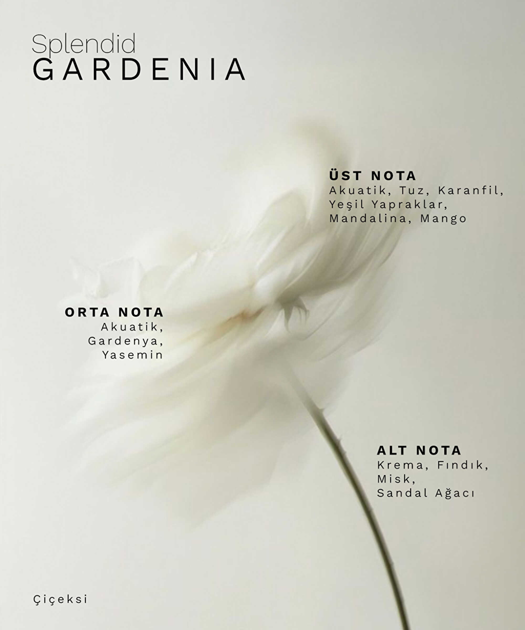 SPLENDID GARDENIA Eau de Parfum 18 ml - I00000088019003 - Natürel Parfüm